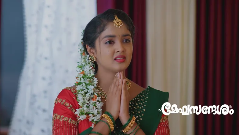 Pooja Urges Krishna Episode 245