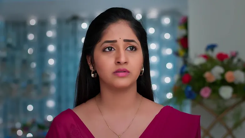 The Stalled Engagement Irks Manisha Episode 319