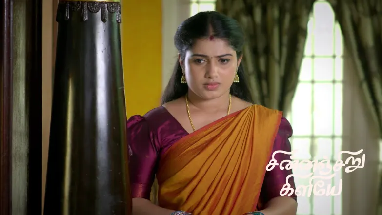 Indhu Learns a Truth Episode 193