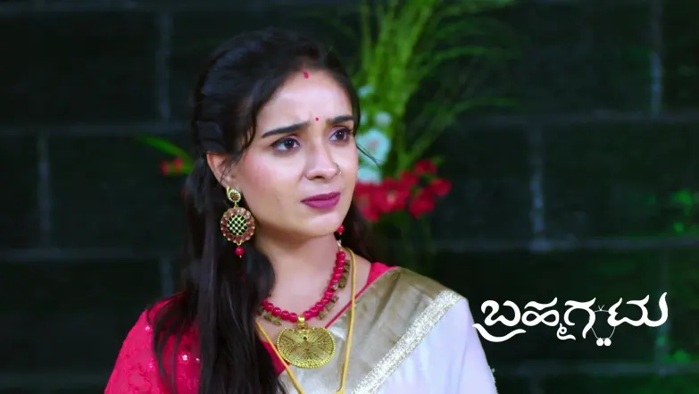 Disha Assigns Household Duties to Sukanya Episode 490
