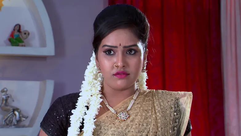 Shrinidhi’s Insult Backfires on Dakshayani Episode 267