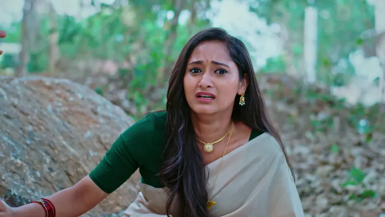 Naa Ninna Bidalaare - April 17, 2026 - Episode Spoiler