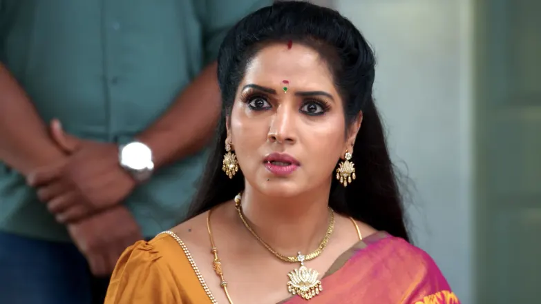 Paarijatham - April 24, 2026 - Episode Spoiler