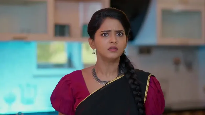Lakshmi Nivasam - April 22, 2026 - Webisode 22nd April 2026 Webisode
