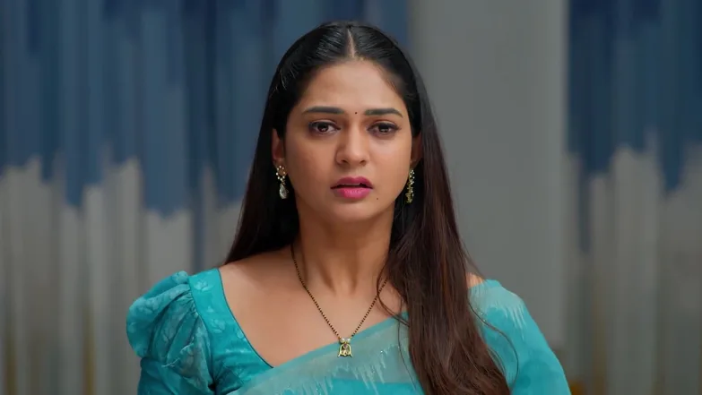Nindu Noorella Saavasam - April 24, 2026 - Webisode 24th April 2026 Webisode