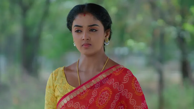 Meghasandesam - April 23, 2026 - Episode Spoiler