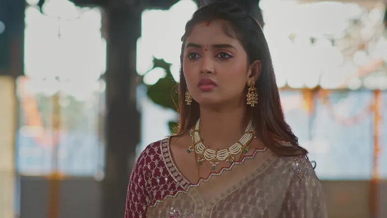 Meghasandesha - April 21, 2026 - Episode Spoiler