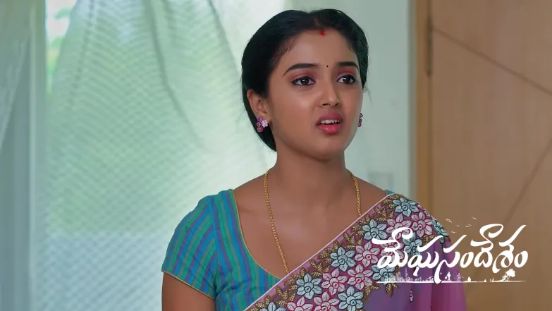Meghasandesam - April 29, 2026 Episode 616