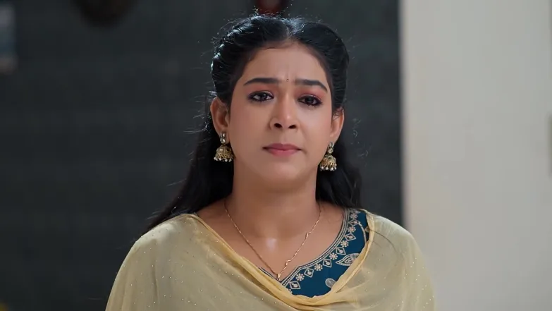 Meghasandesam - May 02, 2026 - Webisode 2nd May 2026 Webisode