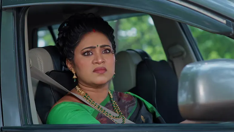 Meghasandesam - May 01, 2026 - Episode Spoiler