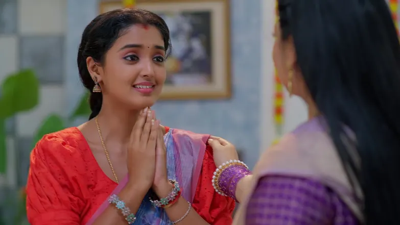 Meghasandesam - May 02, 2026 - Episode Spoiler
