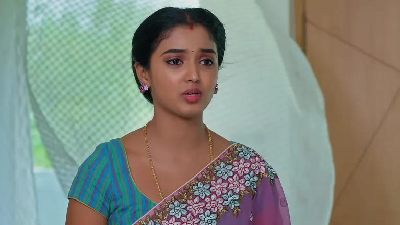 Meghasandesam - April 29, 2026 - Episode Spoiler