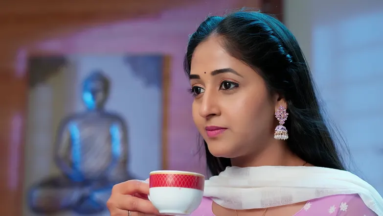 Mithra's Action Disappoints Manisha Episode 346