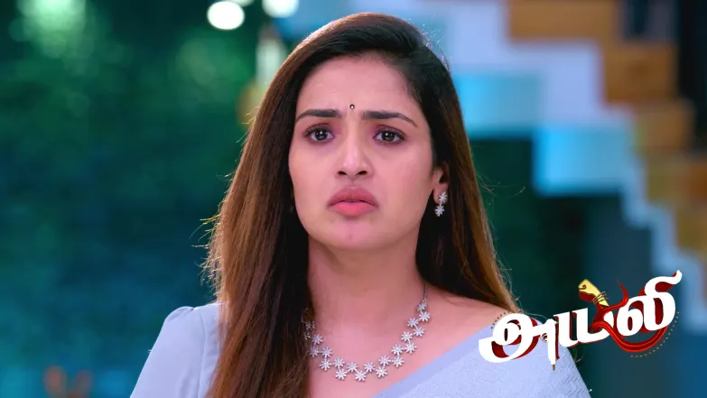 Ayali - April 29, 2026 Episode 282
