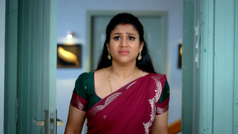Paarijatham - April 29, 2026 - Episode Spoiler