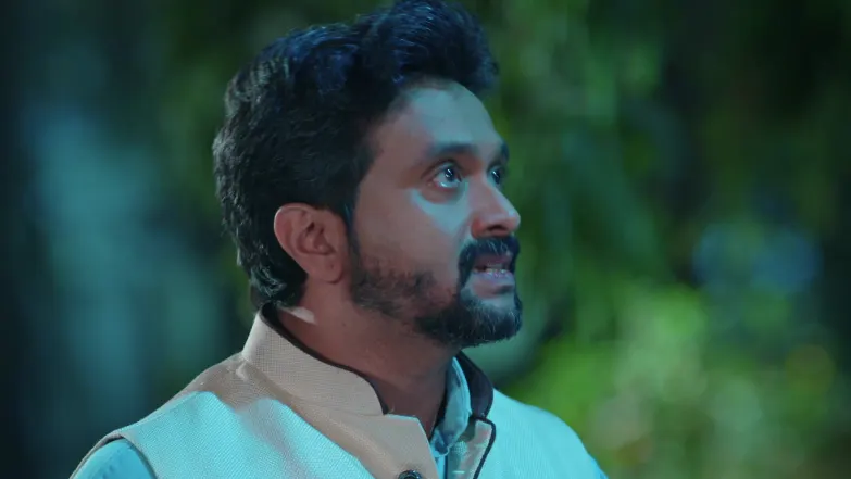 Savalyachi Janu Savali - April 29, 2026 - Episode Spoiler