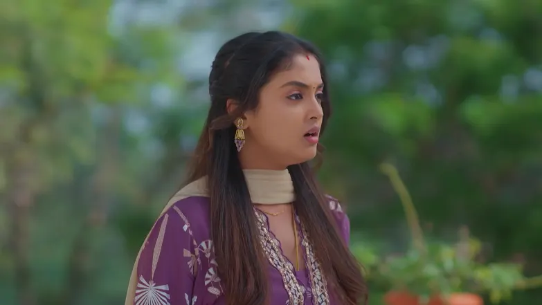 Meghasandesha - May 04, 2026 - Episode Spoiler