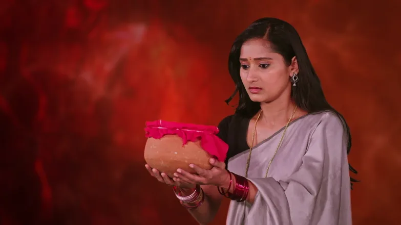 Naa Ninna Bidalaare - May 01, 2026 - Episode Spoiler