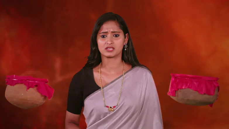 Naa Ninna Bidalaare - May 01, 2026 - Episode Spoiler