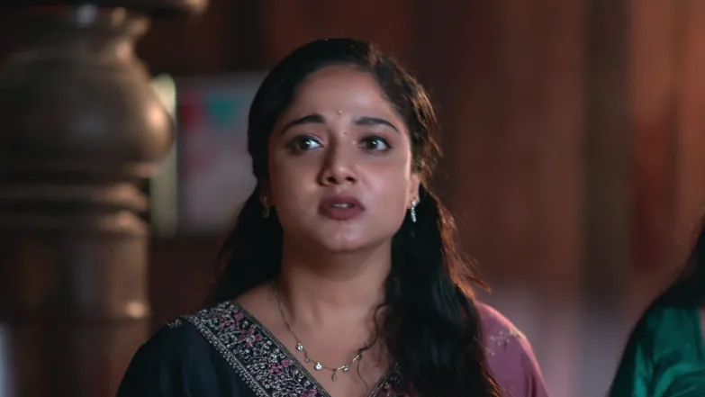 Mani Executes Padmanabhan's Plan Episode 18