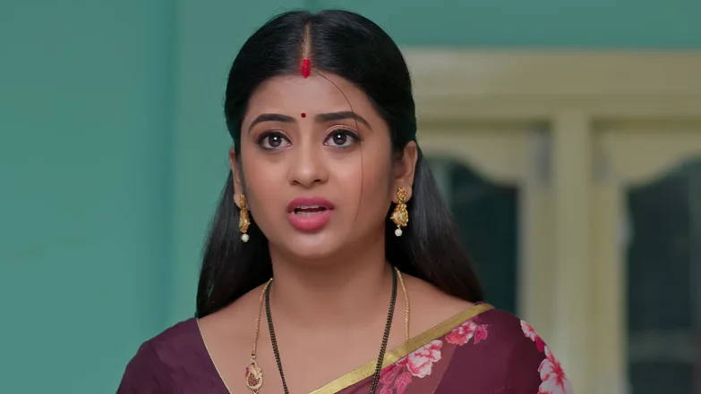 Devayani Criticises Bhagyalakshmi Episode 353