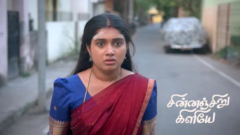 Chinnan Siru Kiliye - May 05, 2026 Episode 205
