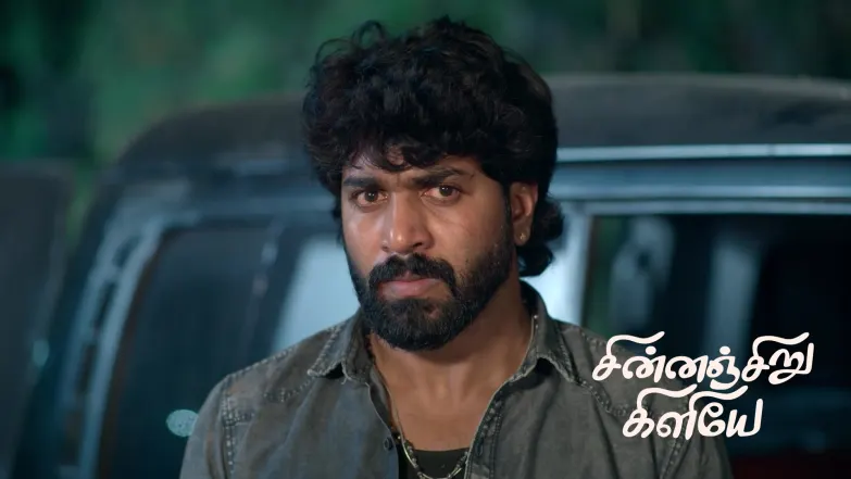 Chinnan Siru Kiliye - May 04, 2026 Episode 204