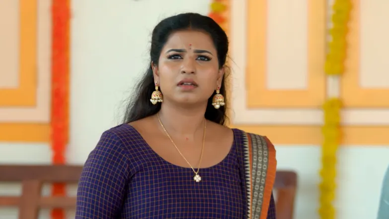 Karthigai Deepam - May 05, 2026 - Episode Spoiler