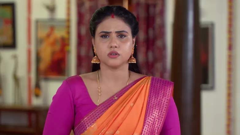 Karthigai Deepam - May 07, 2026 - Episode Spoiler