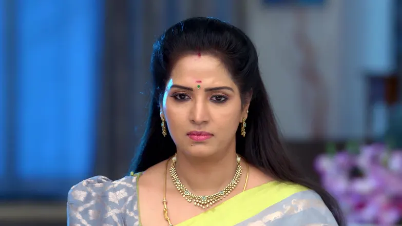 Paarijatham - May 05, 2026 - Episode Spoiler