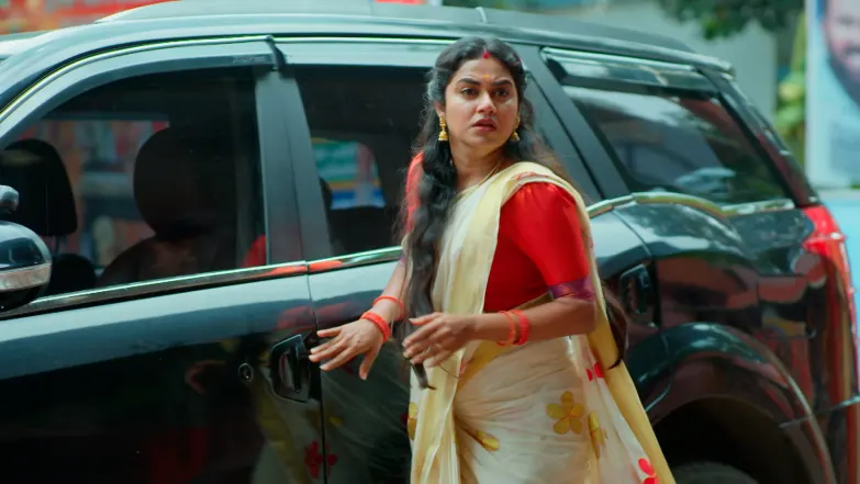 Snehapoorvam Shyama - May 01, 2026 - Episode Spoiler