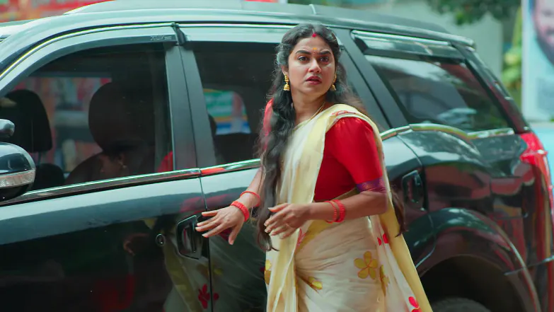 Snehapoorvam Shyama - May 01, 2026 - Episode Spoiler