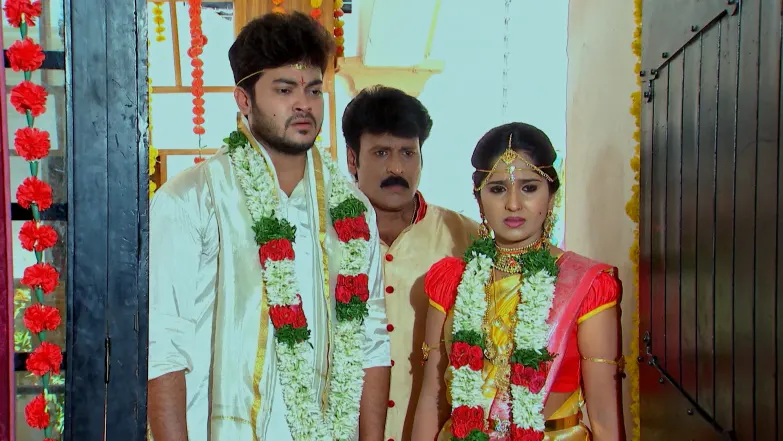 Adithya–Shrinidhi’s Marriage Shatters Kanaka Durga Episode 282