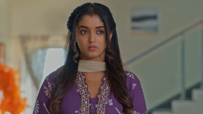 Meghasandesha - May 05, 2026 - Episode Spoiler