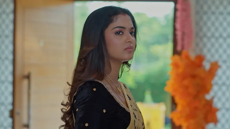 Meghasandesha - May 09, 2026 - Episode Spoiler