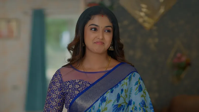 Meghasandesha - May 10, 2026 - Episode Spoiler
