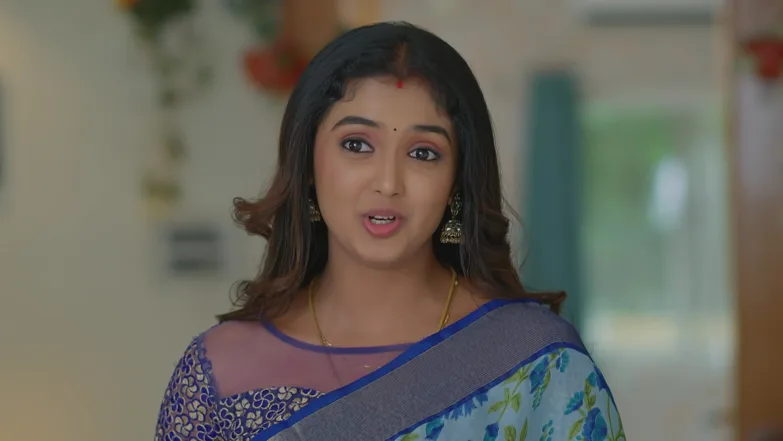 Meghasandesha - May 11, 2026 - Episode Spoiler