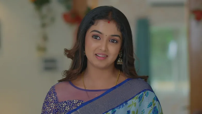 Meghasandesha - May 11, 2026 - Episode Spoiler