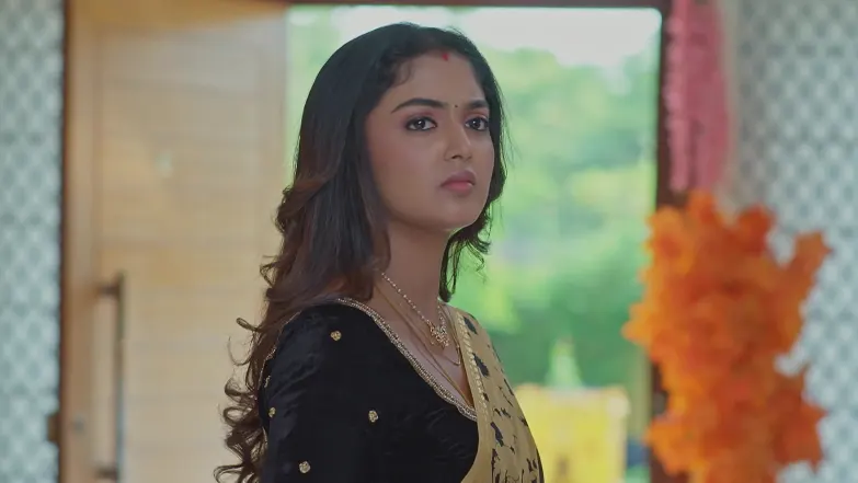 Meghasandesha - May 08, 2026 - Episode Spoiler