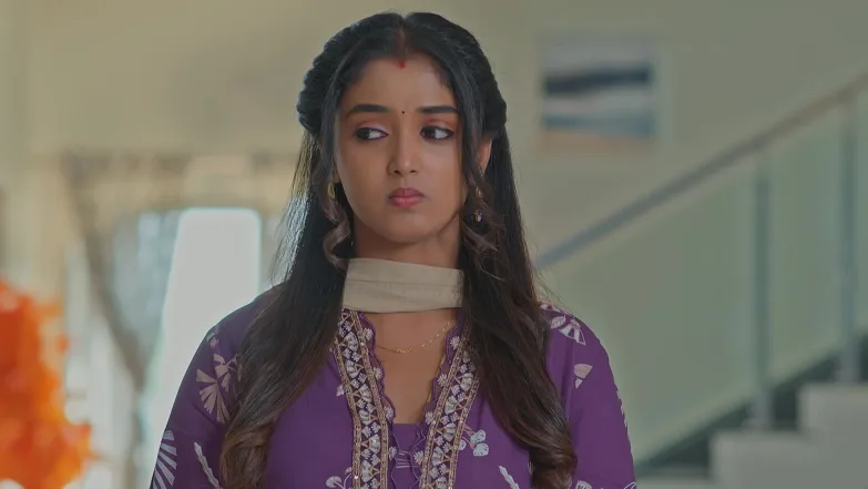 Meghasandesha - May 05, 2026 - Episode Spoiler