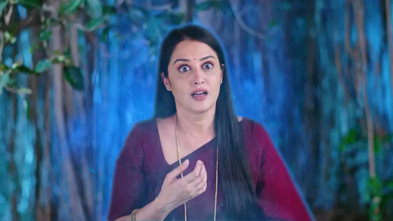 Naa Ninna Bidalaare - May 06, 2026 - Episode Spoiler