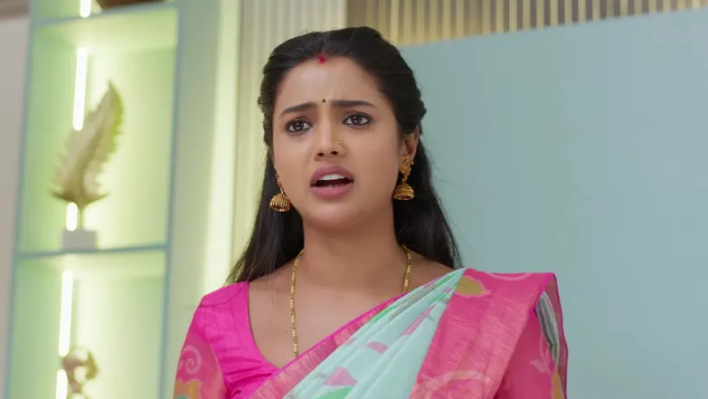 Shakuntala Assigns the Function Duties to Veeru Episode 262