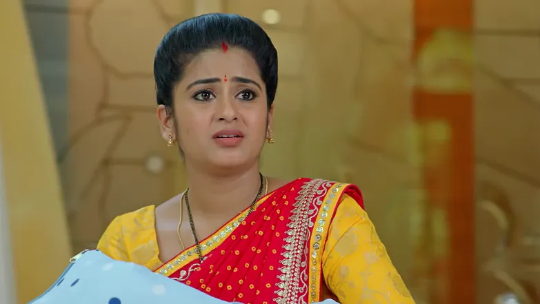 Dheerga Sumangali Bhava - May 08, 2026 - Episode Spoiler