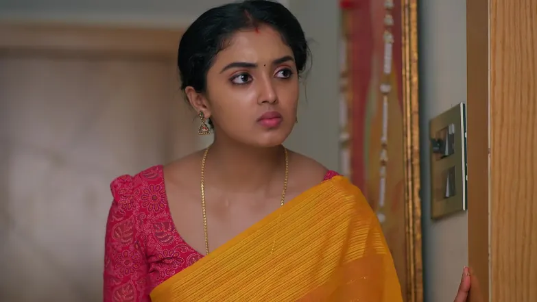 Meghasandesam - May 08, 2026 - Episode Spoiler