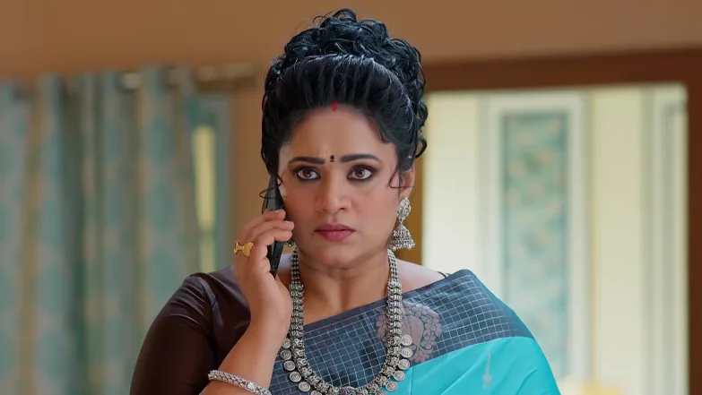 Meghasandesam - May 05, 2026 - Best Scene 