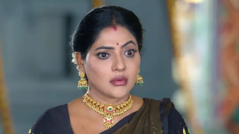 Karthigai Deepam - May 15, 2026 - Episode Spoiler