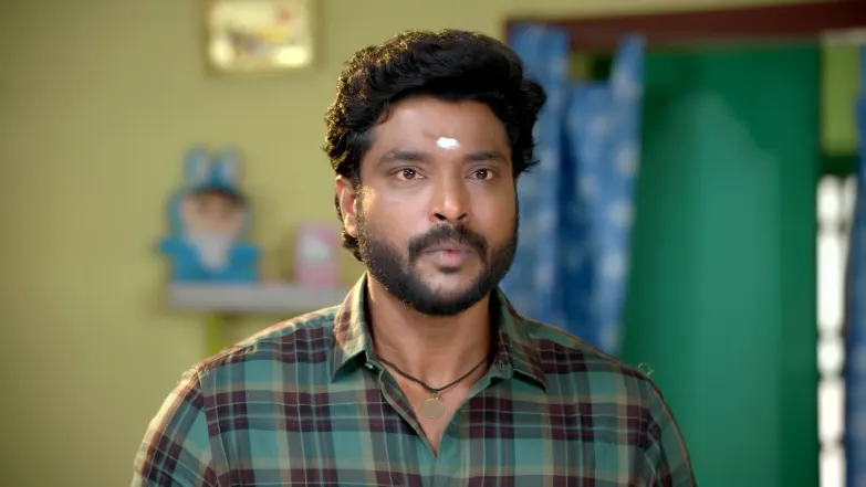 Meenakshi's Plight Worries Thenu Episode 95