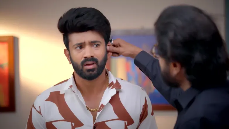 Ayali - May 15, 2026 - Best Scene 