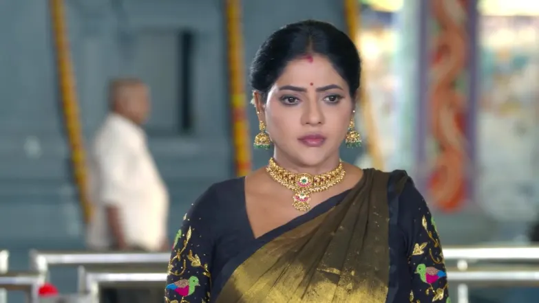 Karthigai Deepam - May 15, 2026 - Best Scene 