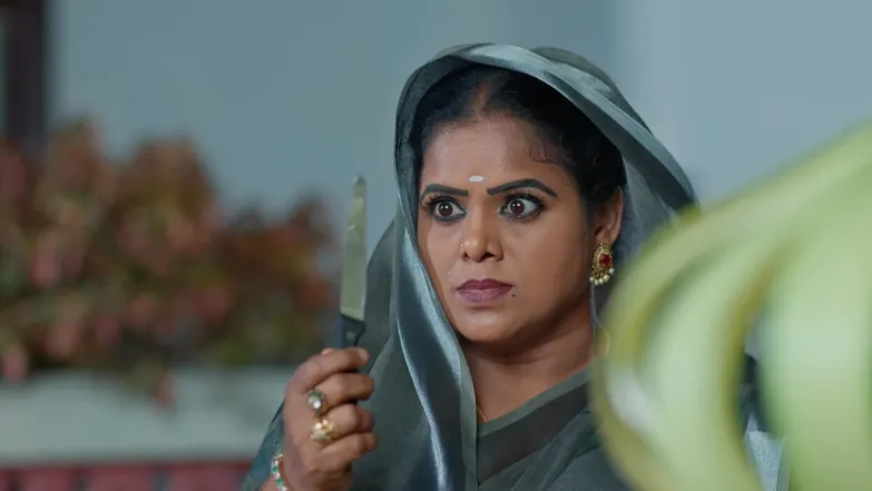 Krishnamraju Tells Vijayashanthi about Sujata's Death Episode 224